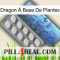 Dragon À Base De Plantes 34